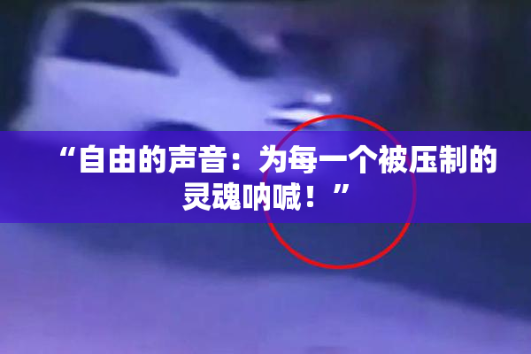 “自由的声音：为每一个被压制的灵魂呐喊！”