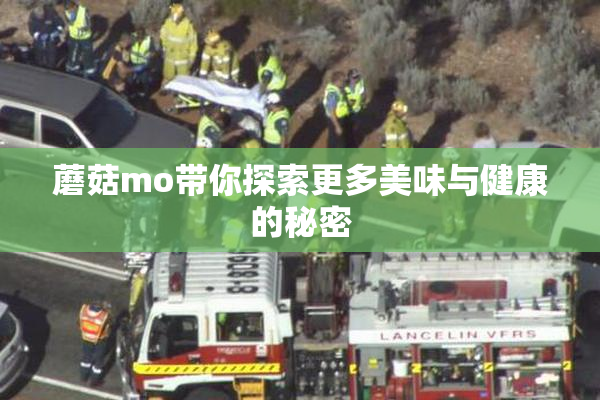 蘑菇mo带你探索更多美味与健康的秘密