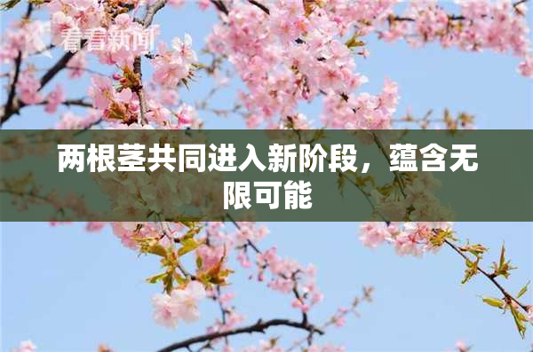 两根茎共同进入新阶段，蕴含无限可能