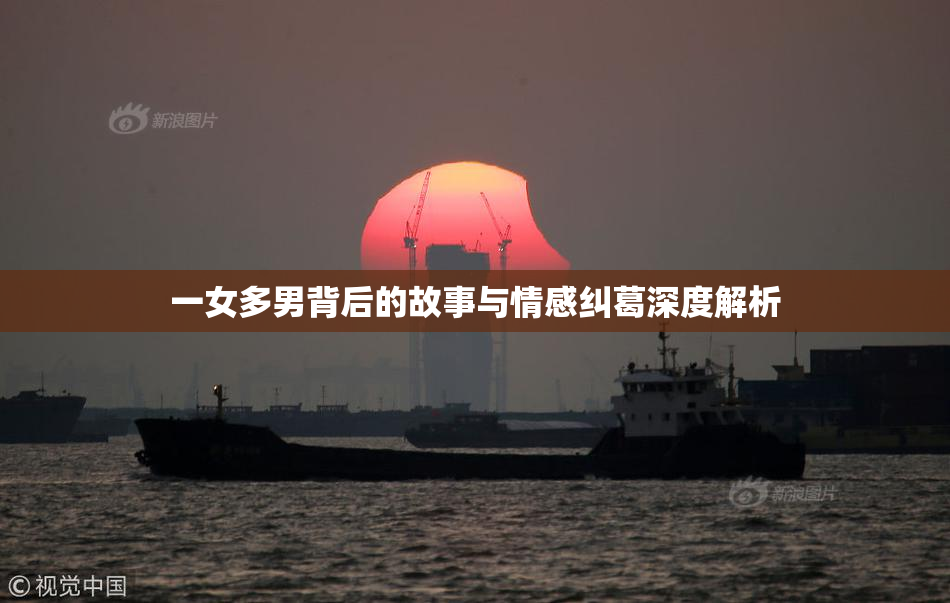 一女多男背后的故事与情感纠葛深度解析