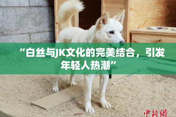 “白丝与JK文化的完美结合，引发年轻人热潮”