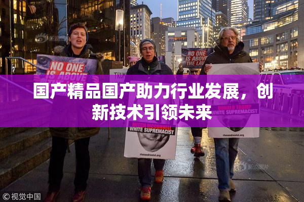 国产精品国产助力行业发展，创新技术引领未来