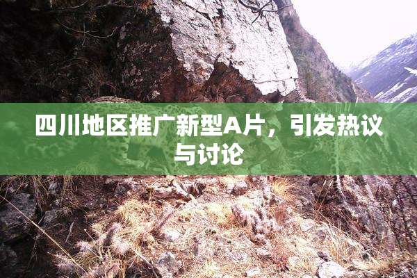 四川地区推广新型A片，引发热议与讨论
