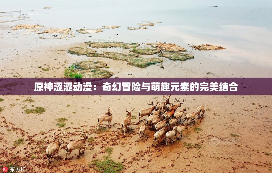 原神涩涩动漫：奇幻冒险与萌趣元素的完美结合