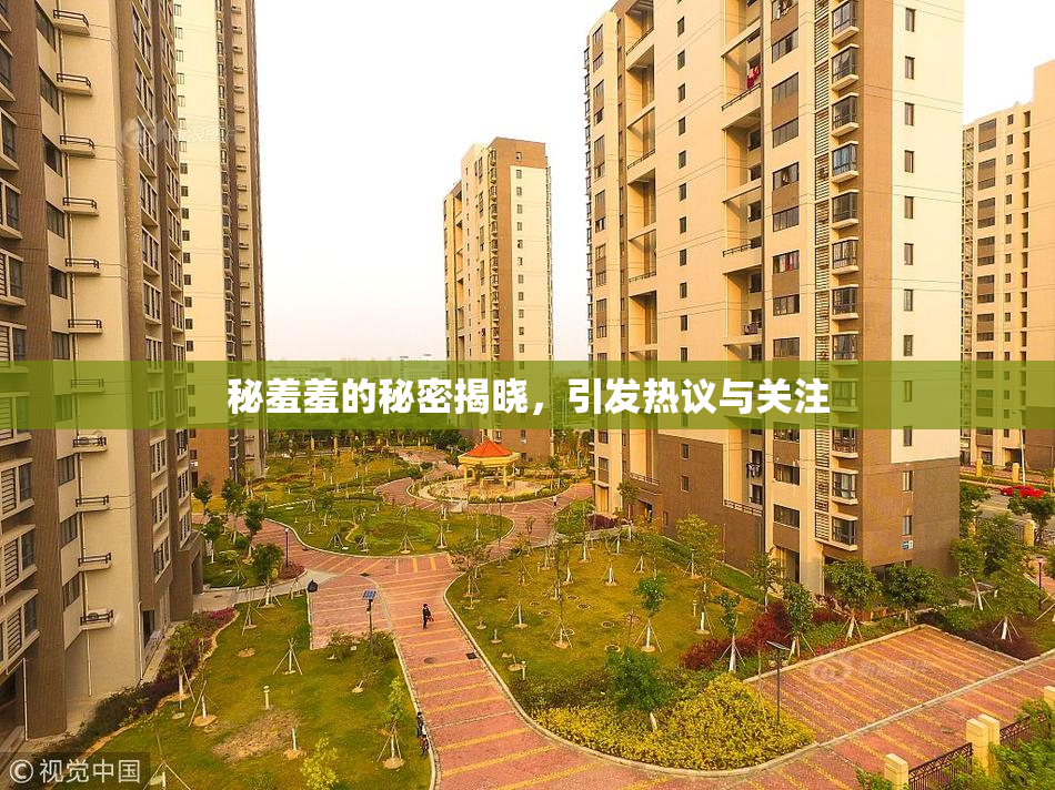 秘羞羞的秘密揭晓，引发热议与关注