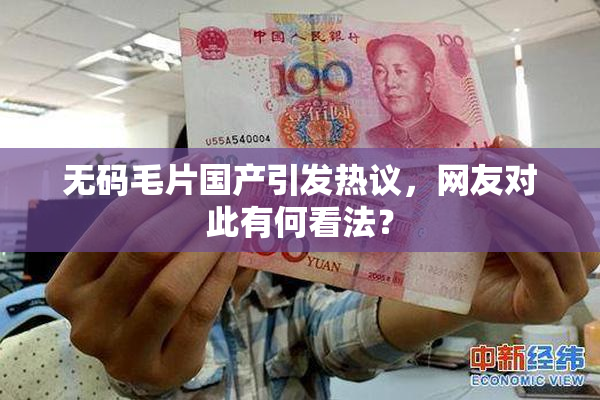 无码毛片国产引发热议，网友对此有何看法？