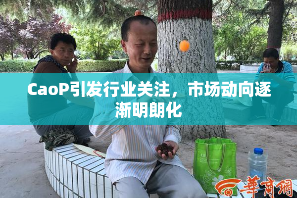 CaoP引发行业关注，市场动向逐渐明朗化