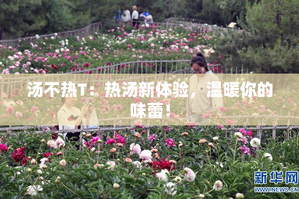 汤不热T：热汤新体验，温暖你的味蕾！