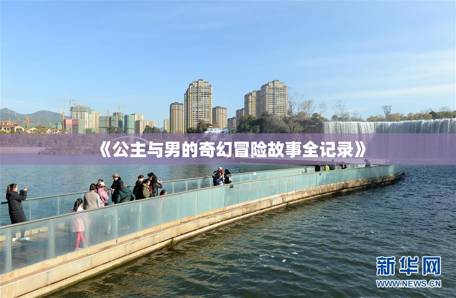 《公主与男的奇幻冒险故事全记录》