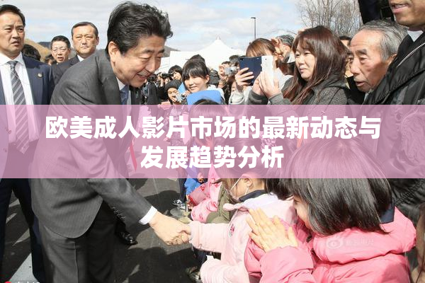 欧美成人影片市场的最新动态与发展趋势分析