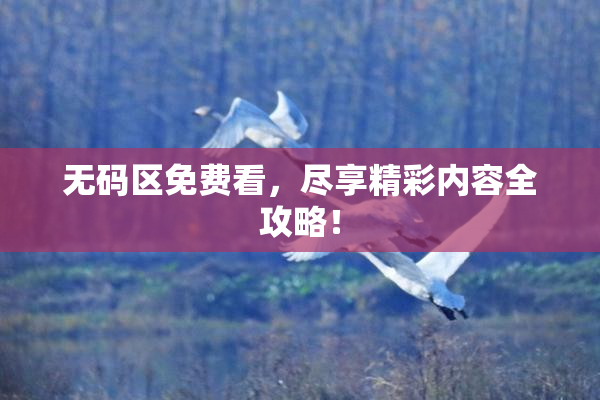 无码区免费看，尽享精彩内容全攻略！