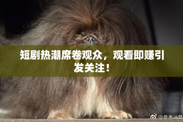 短剧热潮席卷观众，观看即赚引发关注！