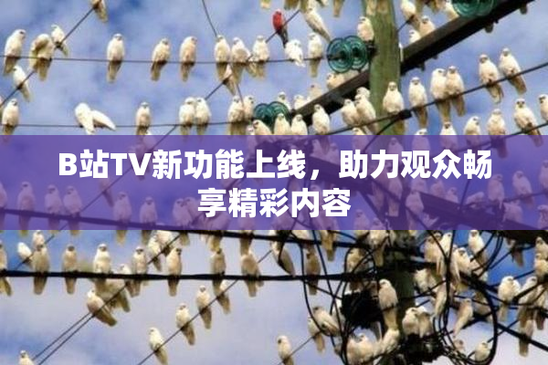 B站TV新功能上线，助力观众畅享精彩内容