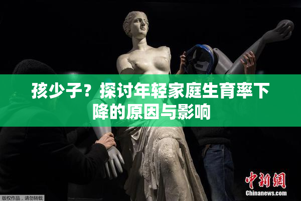孩少子？探讨年轻家庭生育率下降的原因与影响