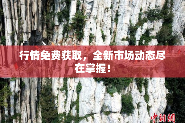 行情免费获取，全新市场动态尽在掌握！