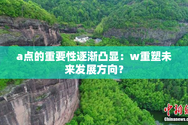 a点的重要性逐渐凸显：w重塑未来发展方向？