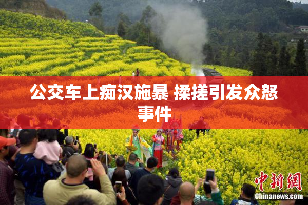 公交车上痴汉施暴 揉搓引发众怒事件