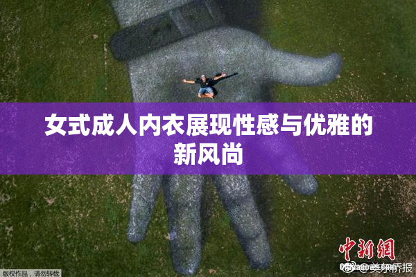 女式成人内衣展现性感与优雅的新风尚