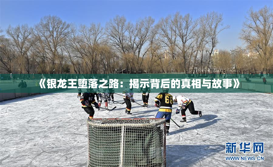 《银龙王堕落之路：揭示背后的真相与故事》