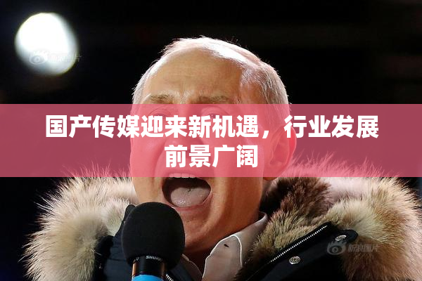 国产传媒迎来新机遇，行业发展前景广阔