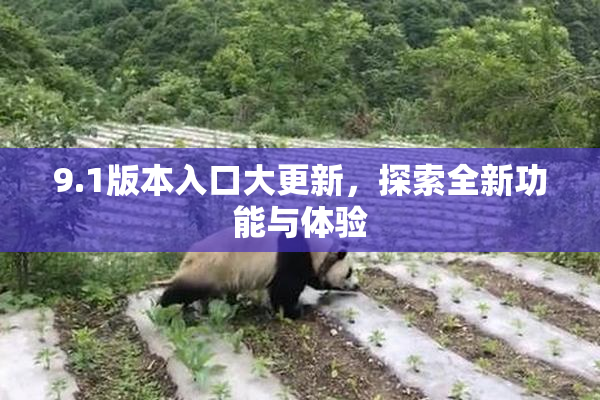 9.1版本入口大更新，探索全新功能与体验