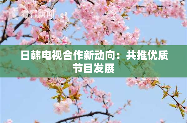 日韩电视合作新动向：共推优质节目发展