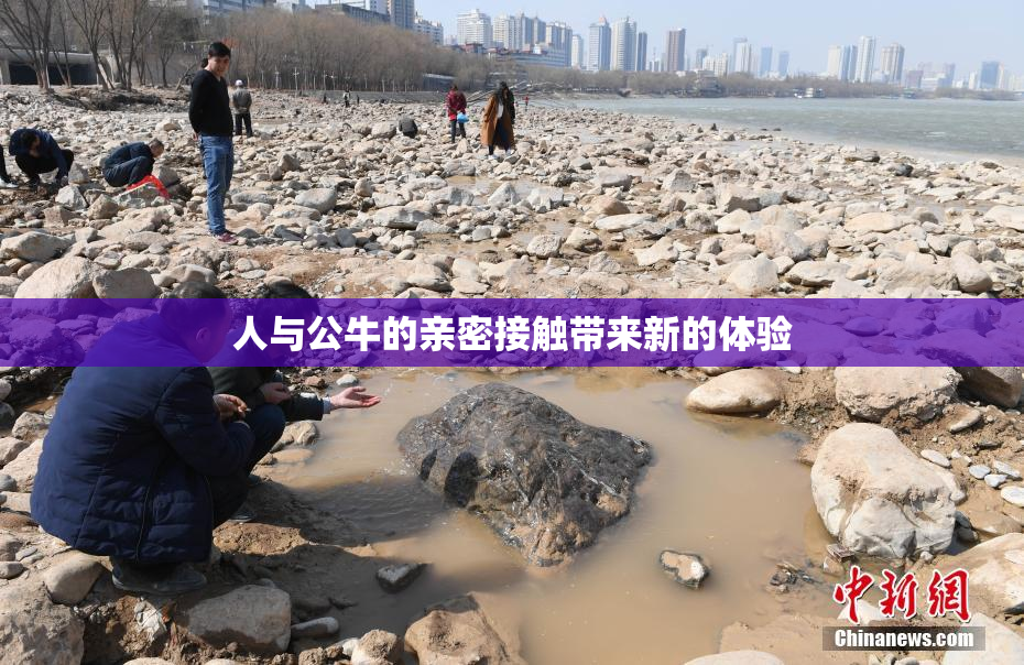 人与公牛的亲密接触带来新的体验