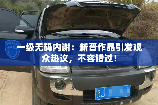 一级无码内谢：新晋作品引发观众热议，不容错过！