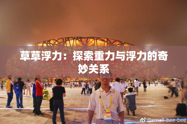 草草浮力：探索重力与浮力的奇妙关系