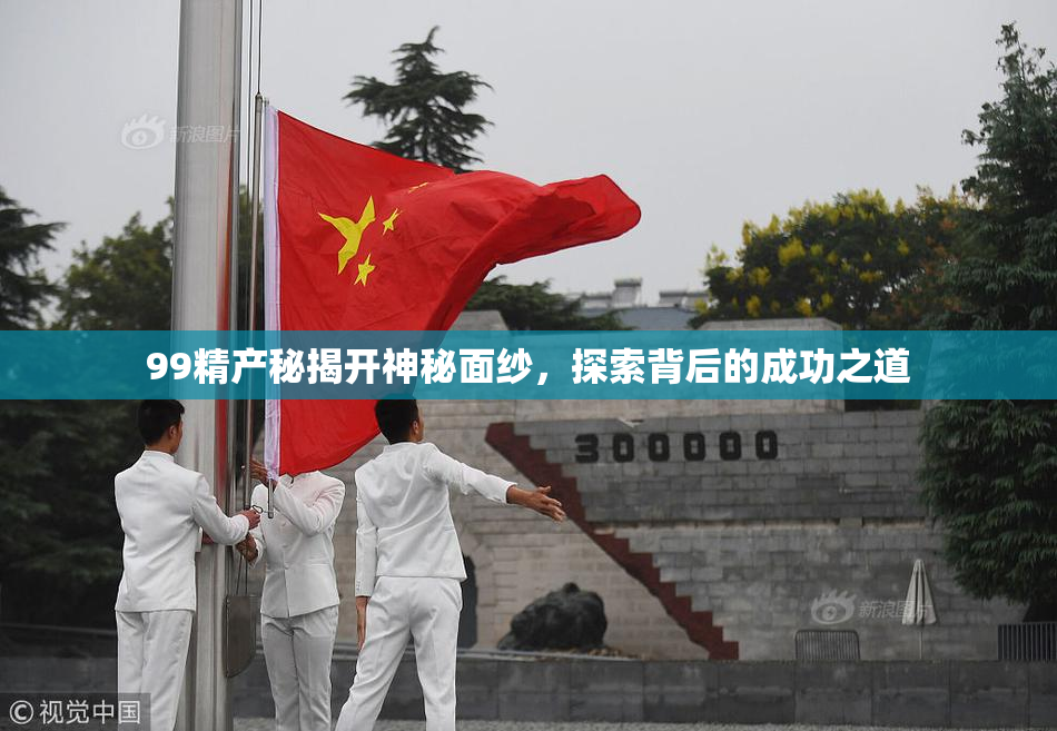 99精产秘揭开神秘面纱，探索背后的成功之道