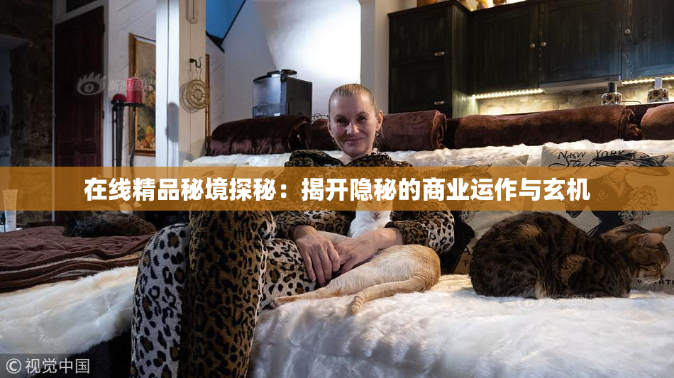 在线精品秘境探秘：揭开隐秘的商业运作与玄机