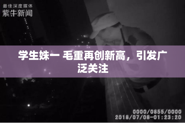 学生姝一 毛重再创新高，引发广泛关注