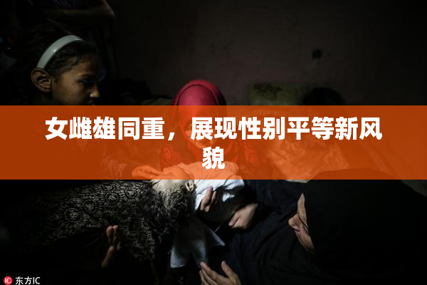 女雌雄同重，展现性别平等新风貌