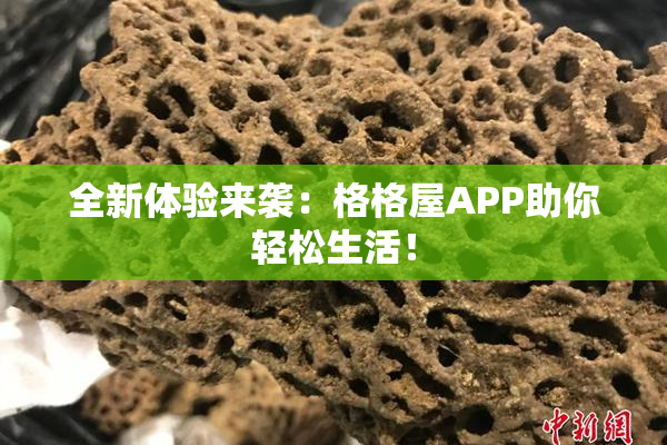 全新体验来袭：格格屋APP助你轻松生活！