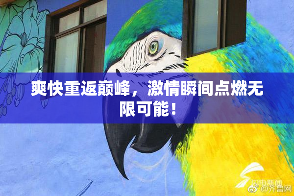 爽快重返巅峰，激情瞬间点燃无限可能！