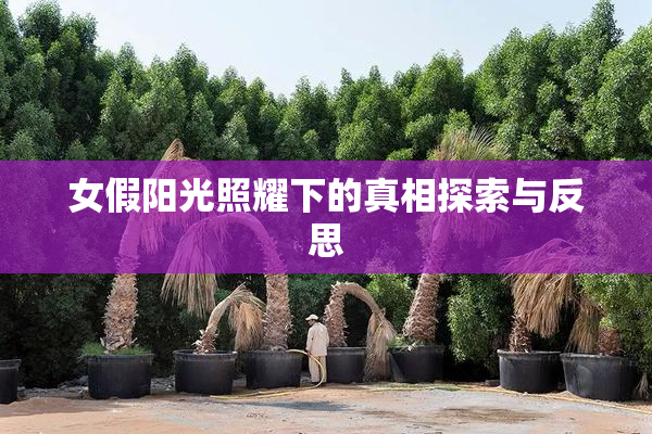 女假阳光照耀下的真相探索与反思