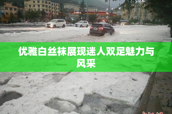 优雅白丝袜展现迷人双足魅力与风采