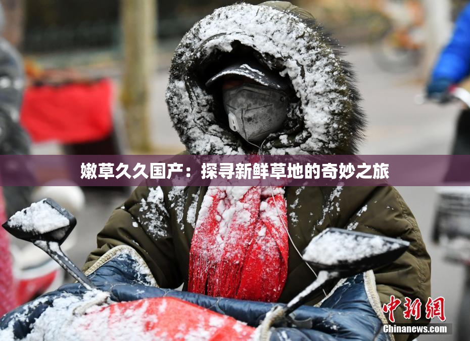 嫩草久久国产：探寻新鲜草地的奇妙之旅