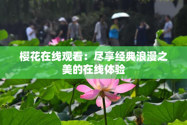 樱花在线观看：尽享经典浪漫之美的在线体验