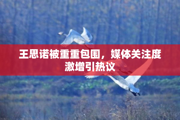 王思诺被重重包围，媒体关注度激增引热议