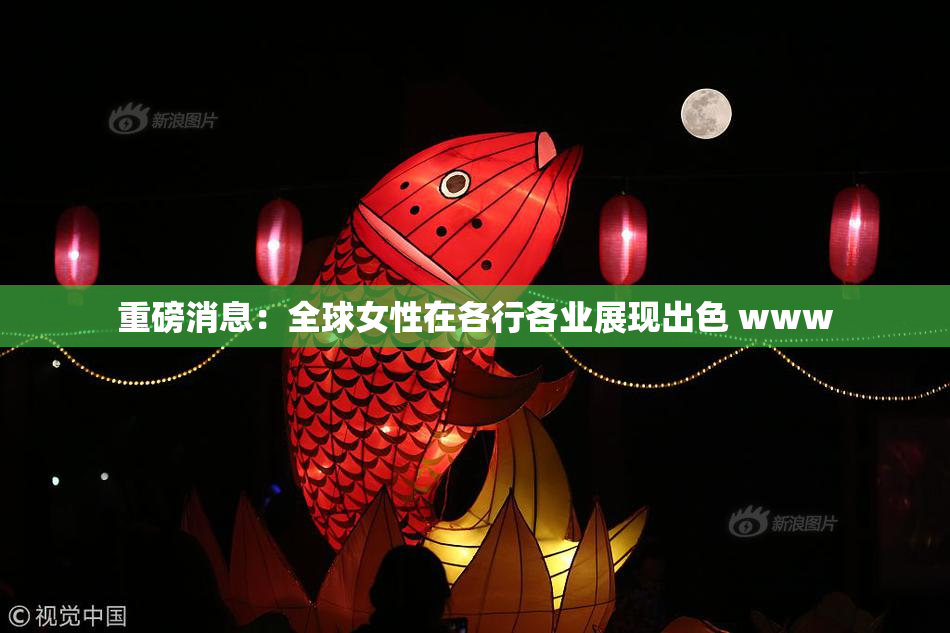 重磅消息：全球女性在各行各业展现出色 www
