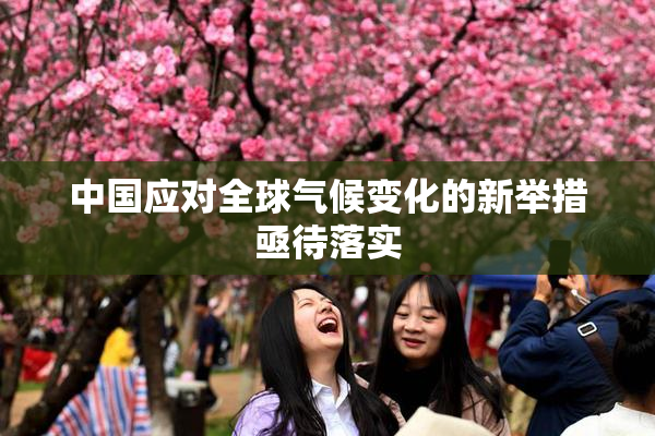 中国应对全球气候变化的新举措亟待落实
