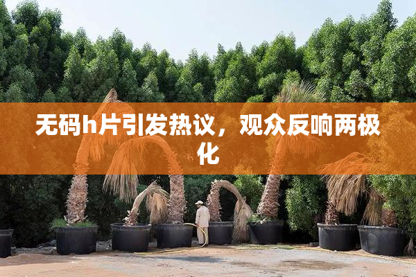无码h片引发热议，观众反响两极化