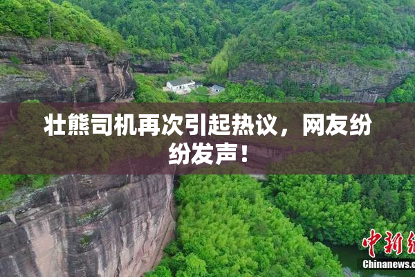 壮熊司机再次引起热议，网友纷纷发声！