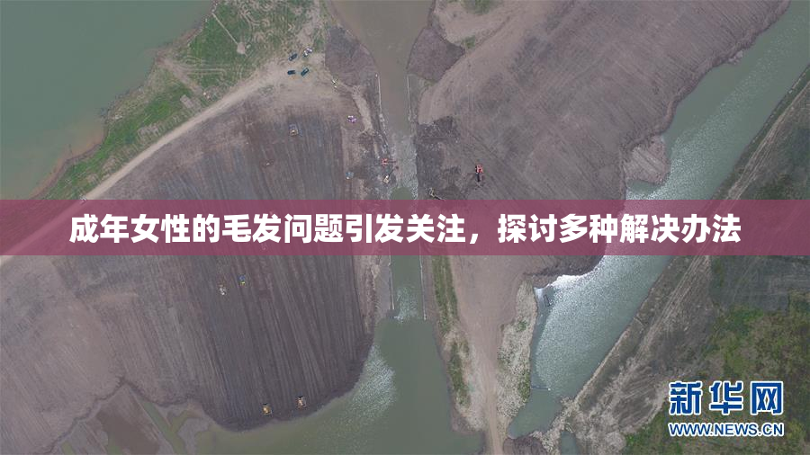 成年女性的毛发问题引发关注，探讨多种解决办法