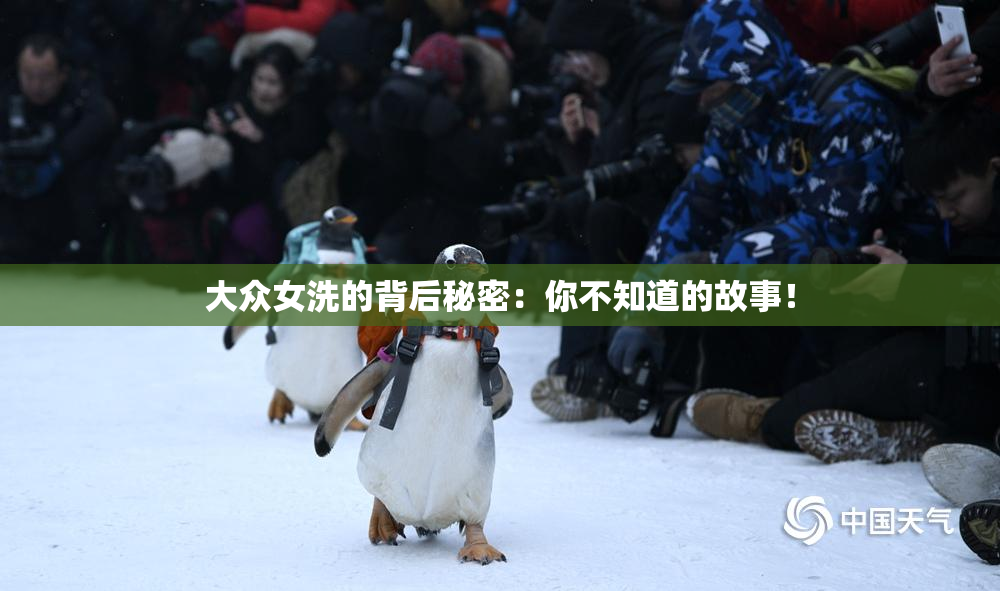 大众女洗的背后秘密：你不知道的故事！