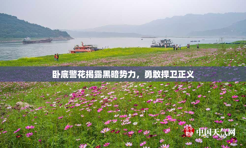 卧底警花揭露黑暗势力，勇敢捍卫正义