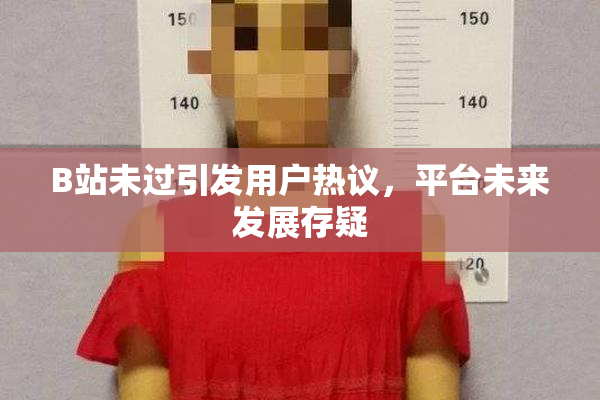 B站未过引发用户热议，平台未来发展存疑