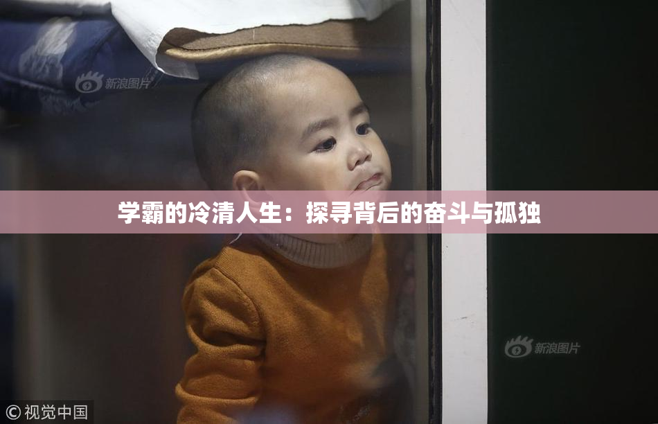 学霸的冷清人生：探寻背后的奋斗与孤独