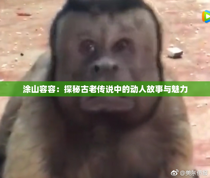 涂山容容：探秘古老传说中的动人故事与魅力